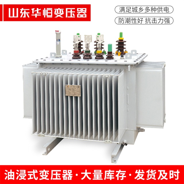 S13-10000/35肃州肃州肃州电力变压器